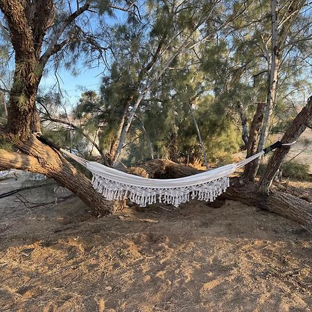 Casa Agave: Comfy Joshua Tree Cottage With Free Breakfast Bar المظهر الخارجي الصورة