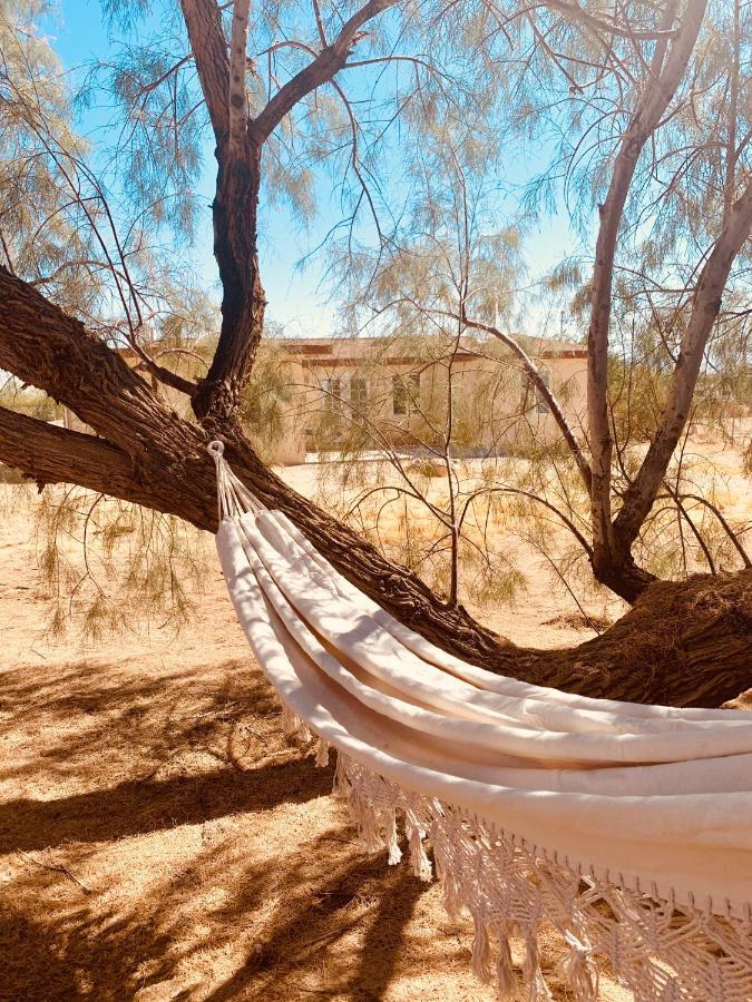 Casa Agave: Comfy Joshua Tree Cottage With Free Breakfast Bar المظهر الخارجي الصورة