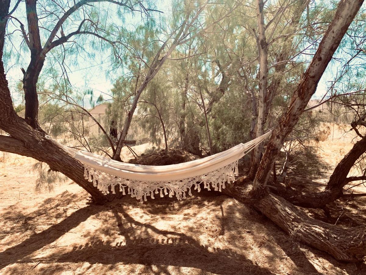 Casa Agave: Comfy Joshua Tree Cottage With Free Breakfast Bar المظهر الخارجي الصورة
