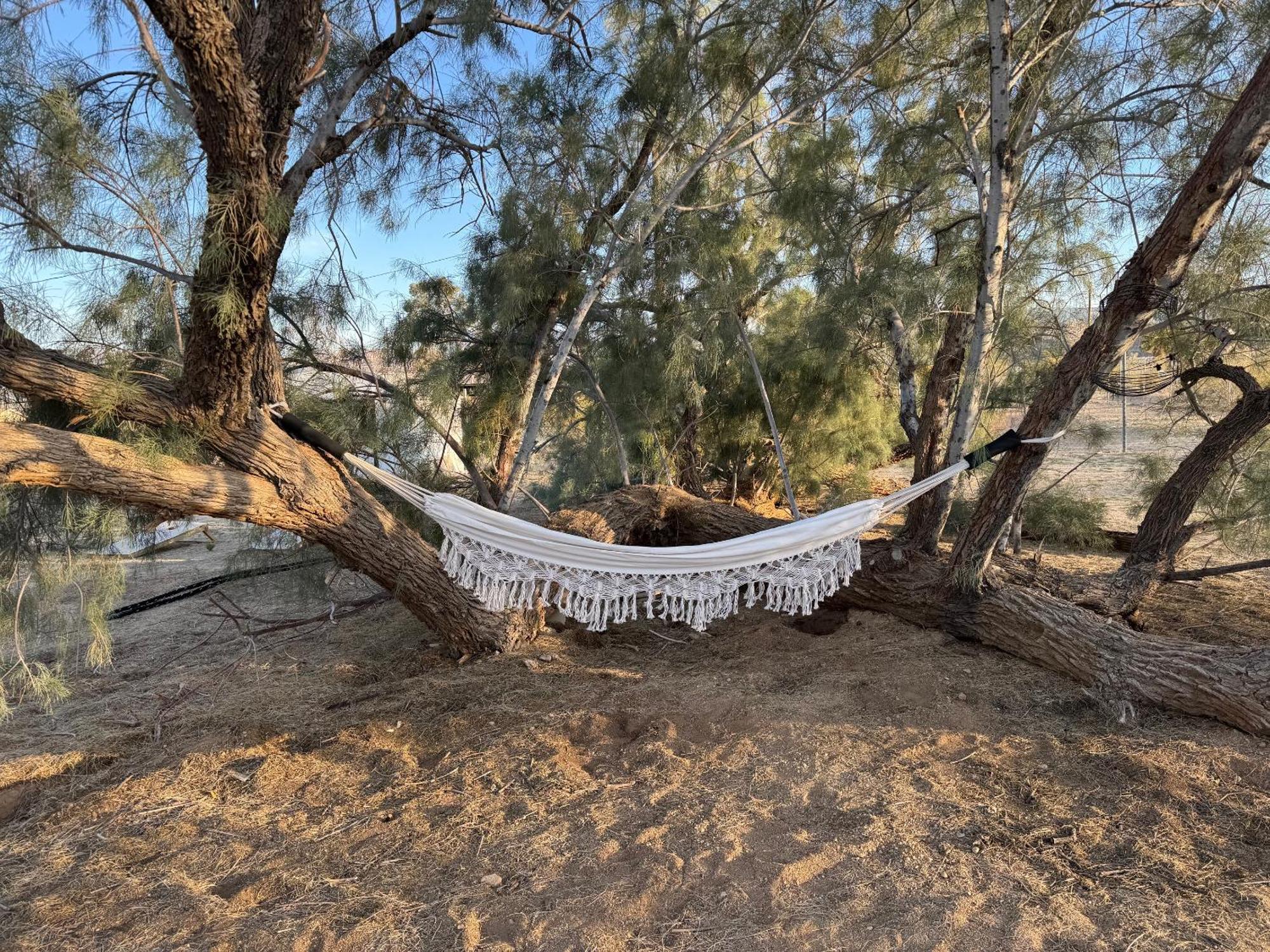 Casa Agave: Comfy Joshua Tree Cottage With Free Breakfast Bar المظهر الخارجي الصورة